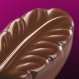 Caramel et beurre salé ou réglisse et cacao