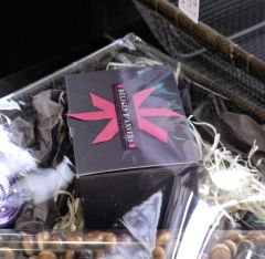 Devenir revendeur chocolat
